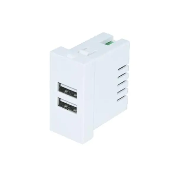Dual Port TypeA+A Usb Charger Socket Module 2.1A