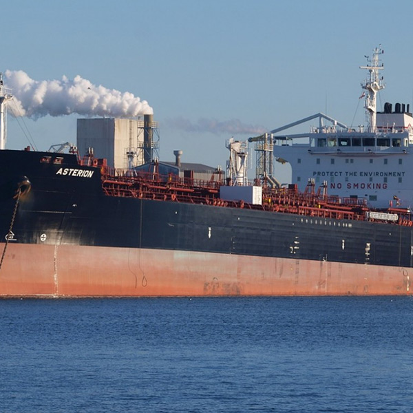 OOG i Bulk Sea Freight Service przez Bulk VSL