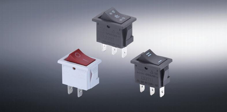 Characteres Excellentissimi Rocker Switch
