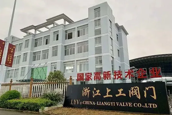 Zhejiang Liangyi Valve Co., Ltd : Περισσότερα από 60 άτομα πώς να δημιουργήσετε 60 εκατομμύρια αξία παραγωγής;