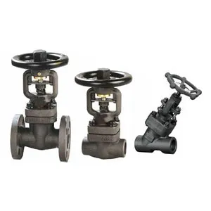 Bonne Forge Globe Valve