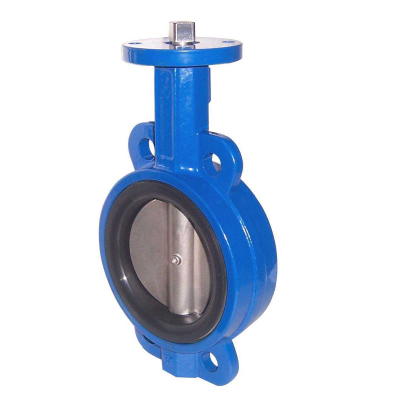 Concentric Butterfly Valve - 2