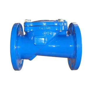 Disco Check Valve