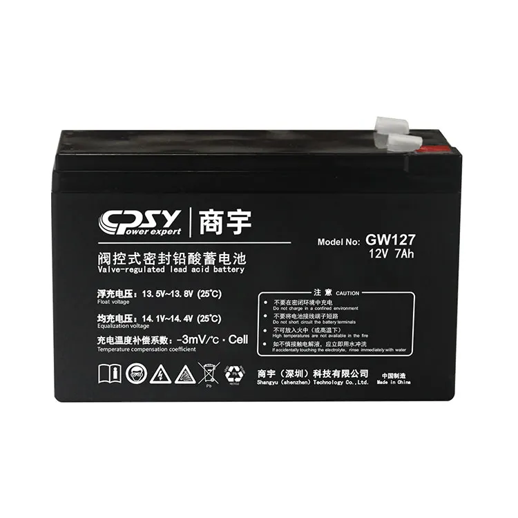 12V Storage Battery