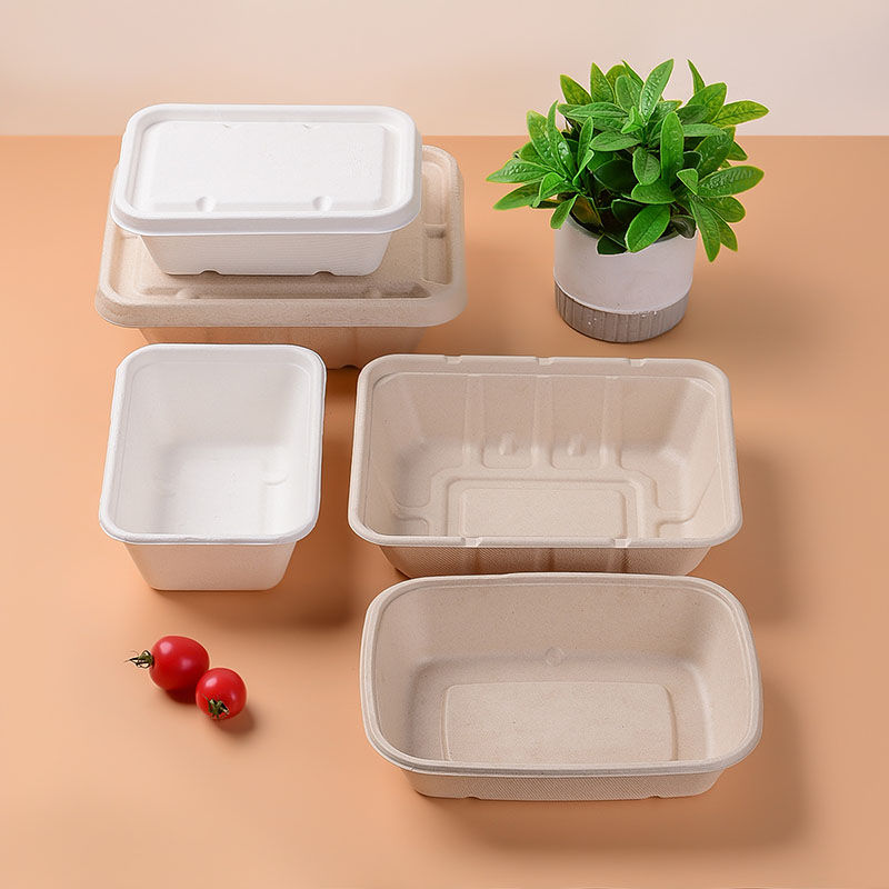 Biodegradable Disposable Containers