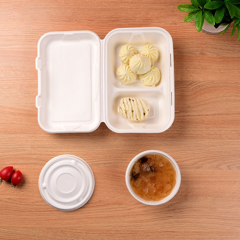 China Biodegradable Disposable Containers Suppliers, Manufacturers -  Factory Direct Price - HS