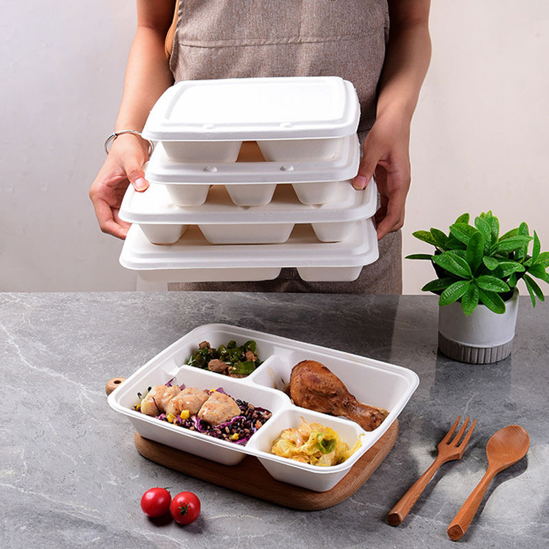 Biodegradable Food Packing