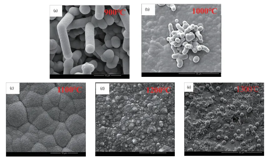 Impactul temperaturii asupra acoperirilor CVD-SiC