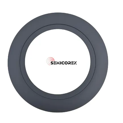 SiC Coated Support Ring