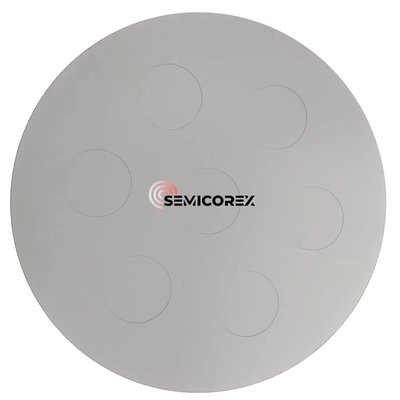 SiC-coated Wafer Disc