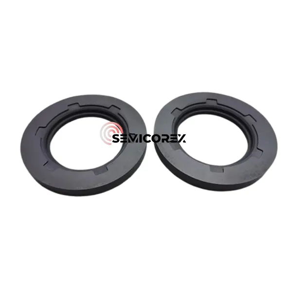 SiC Gasket