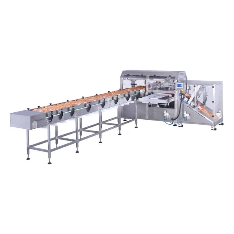 Secondary Bag Packaging Machine