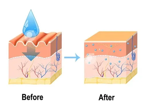 The Wide Application of Phytosphingosine in the Field of Skin Care