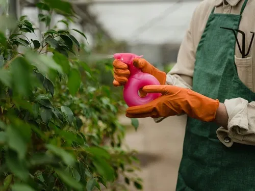 γ-Terpinen: Et alsidigt organisk syntesemellemprodukt