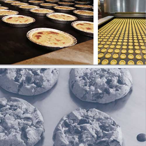 IPCO 1100C Width 1200mm Bake Oven Belts Biscuits Cookies Pizza Barbecue Egg Tart Food Processing Industry