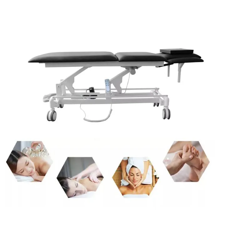 Multi-function Electric Beauty Treatment Massage Bed