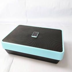 Professional Vertical 4d Sample Vibration Plate for Weight Loss