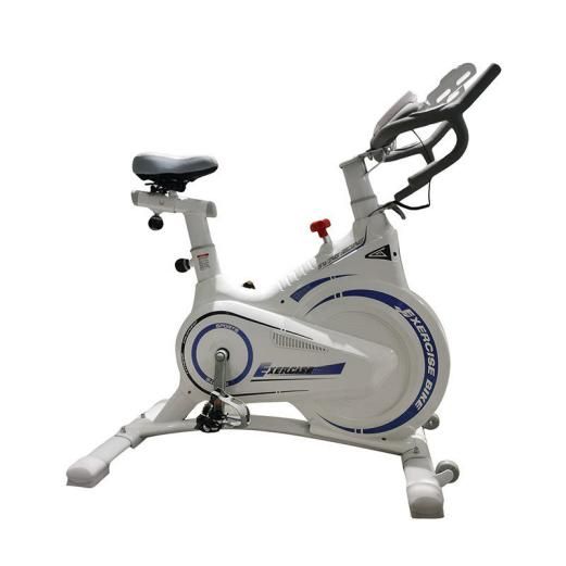 Training Gym Spin Bike with Flywheel and Magnetic Resistance