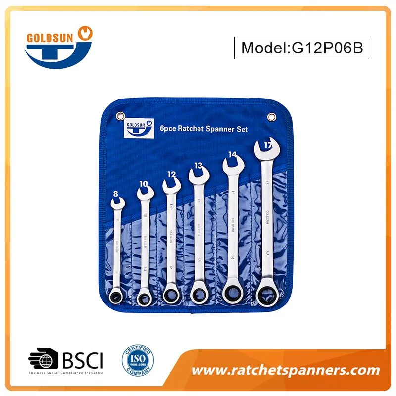 12pt. Ratchet Spanner Set