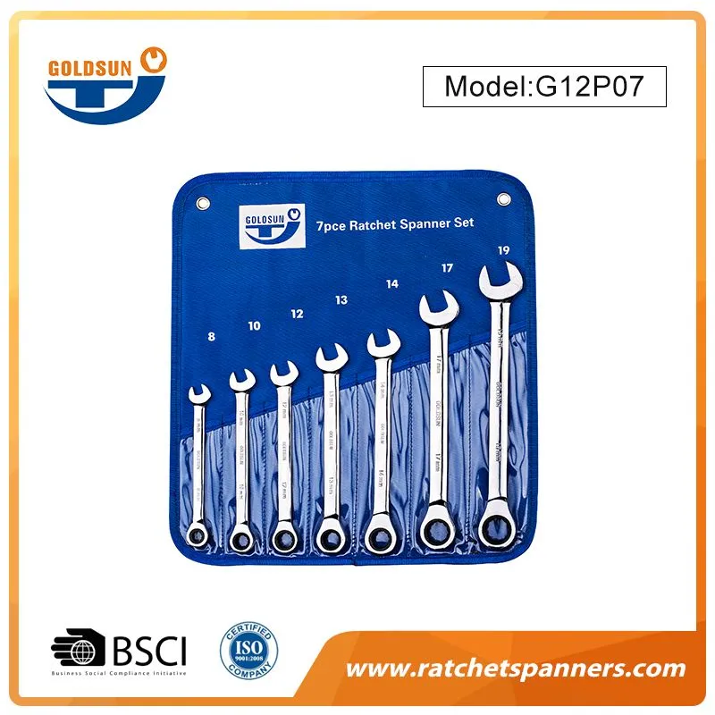 Forward or Reverse Motion Ratchet Spanner Set