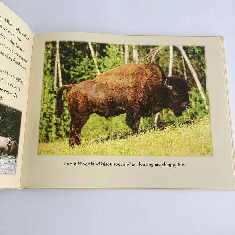 Libro de fotos de animales Libro fotográfico de tapa dura