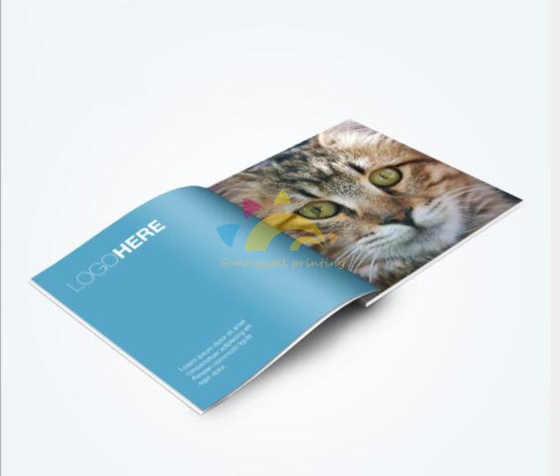 brochure booklet printing service