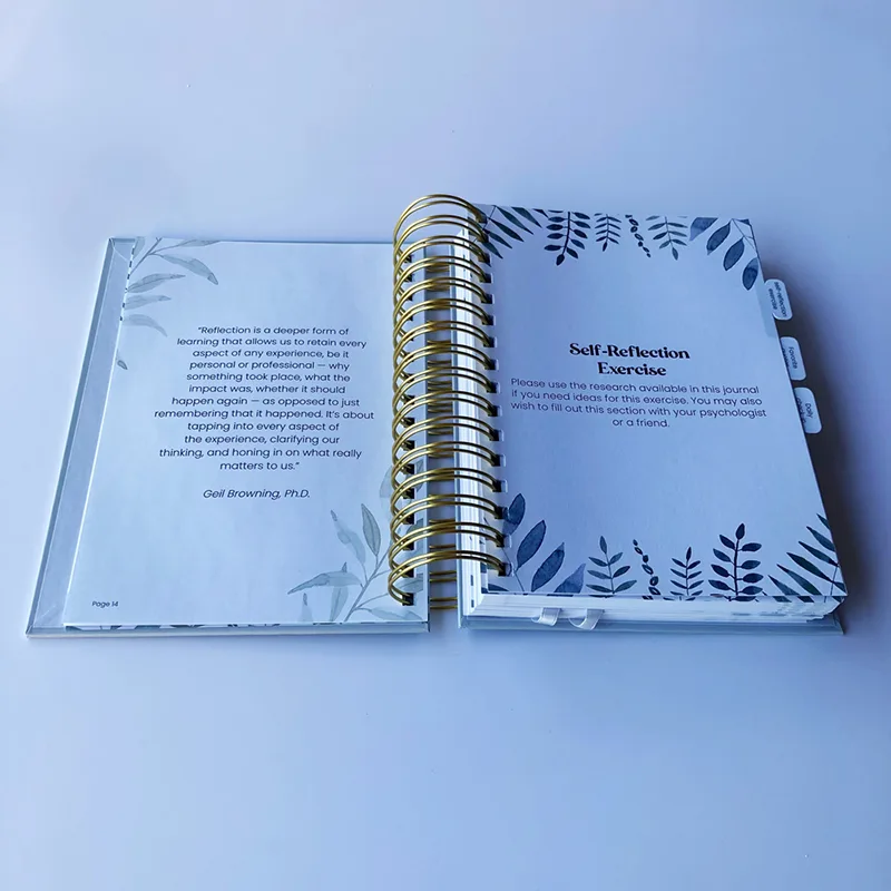 365 Days Planner with Tabs