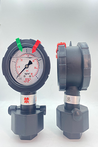 PP double-sided diaphragm pressure gauge