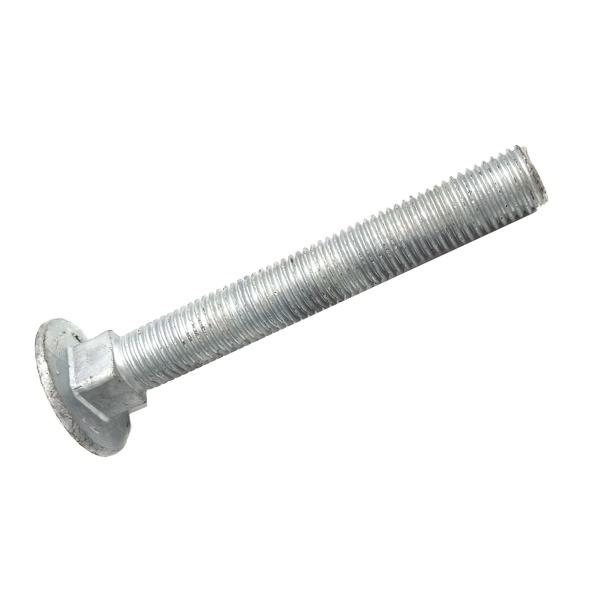 Galvanized Carriage Bolts
