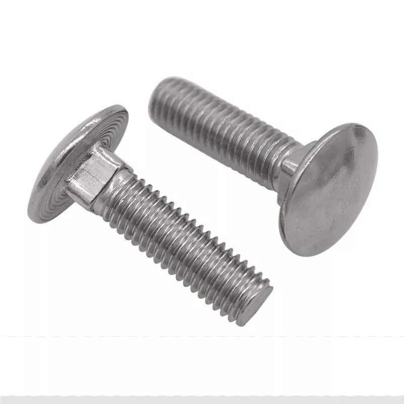 Stainless Steel Carriage Bolts