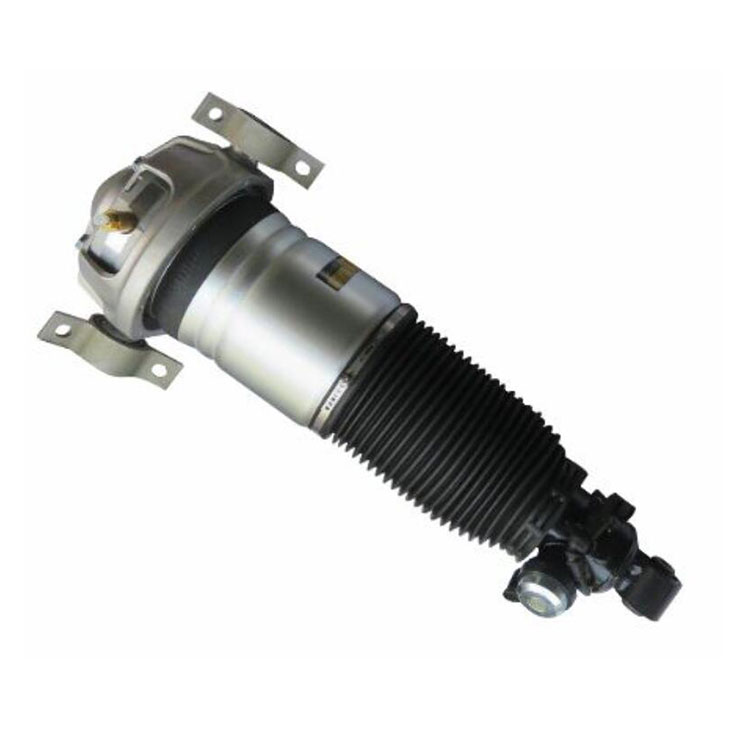 Air Suspension Electronic Induction Shock Absorbers