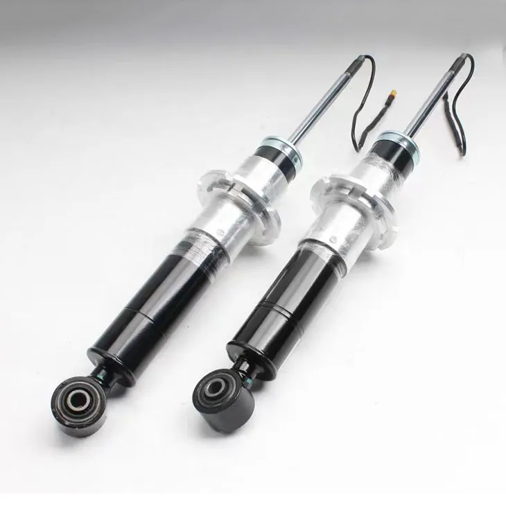 Dual Motor Solenoid Valve Auto Shock Absorber