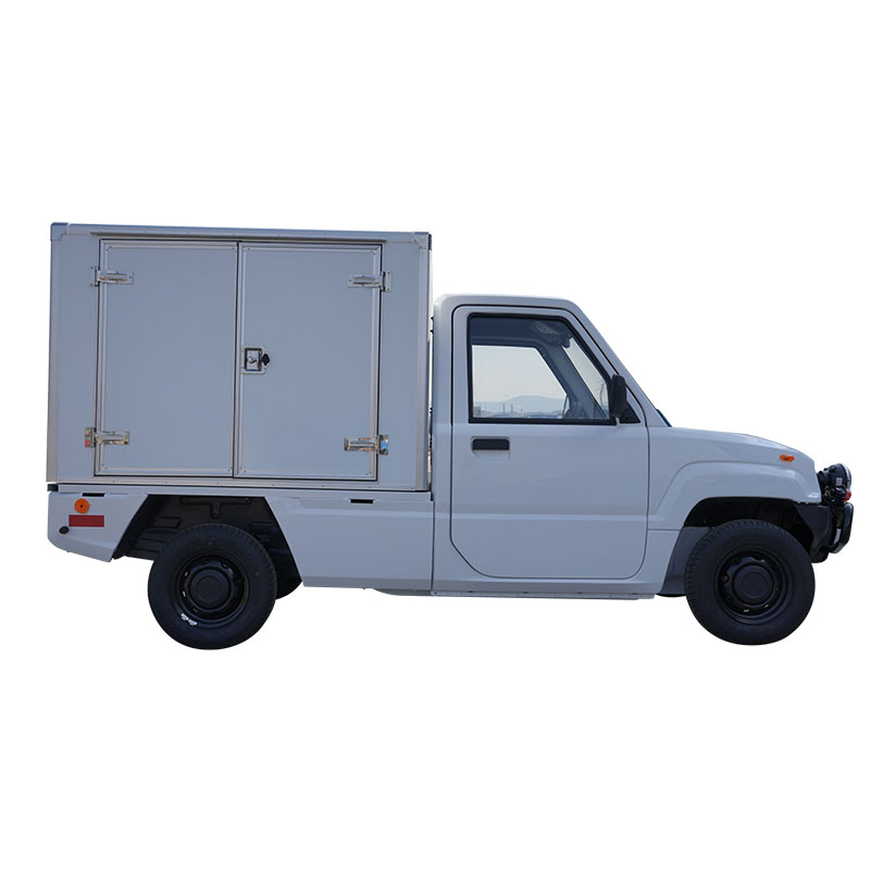 Pickup Mini Listrik karo Cargo Box