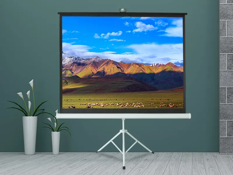 Anvendelsesretning af Tripod Projector Screen