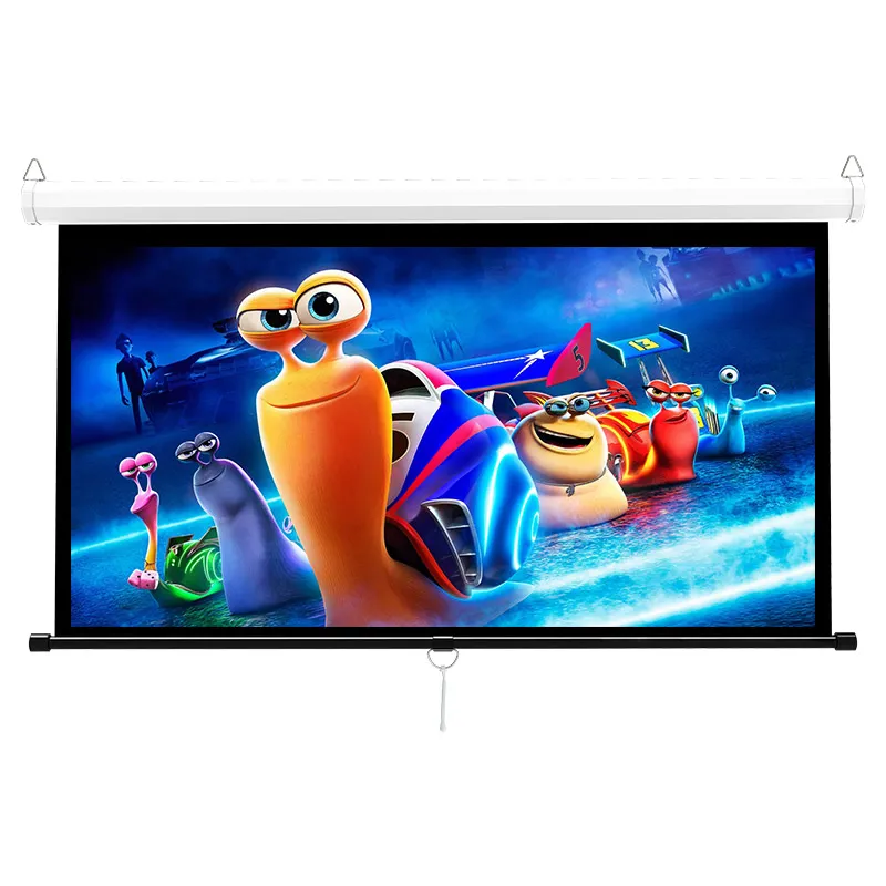 Manual Projection Screen