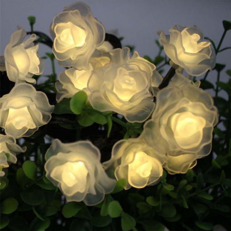 Outdoor Waterproof Plastic Rose Flower Night Solar String Fairy Light