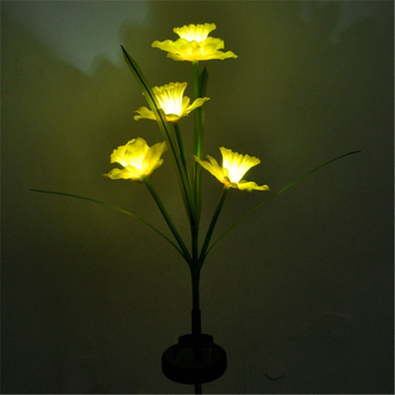 Jardin extérieur 4 Led Daffodilly Morning Glory Lumière Solaire