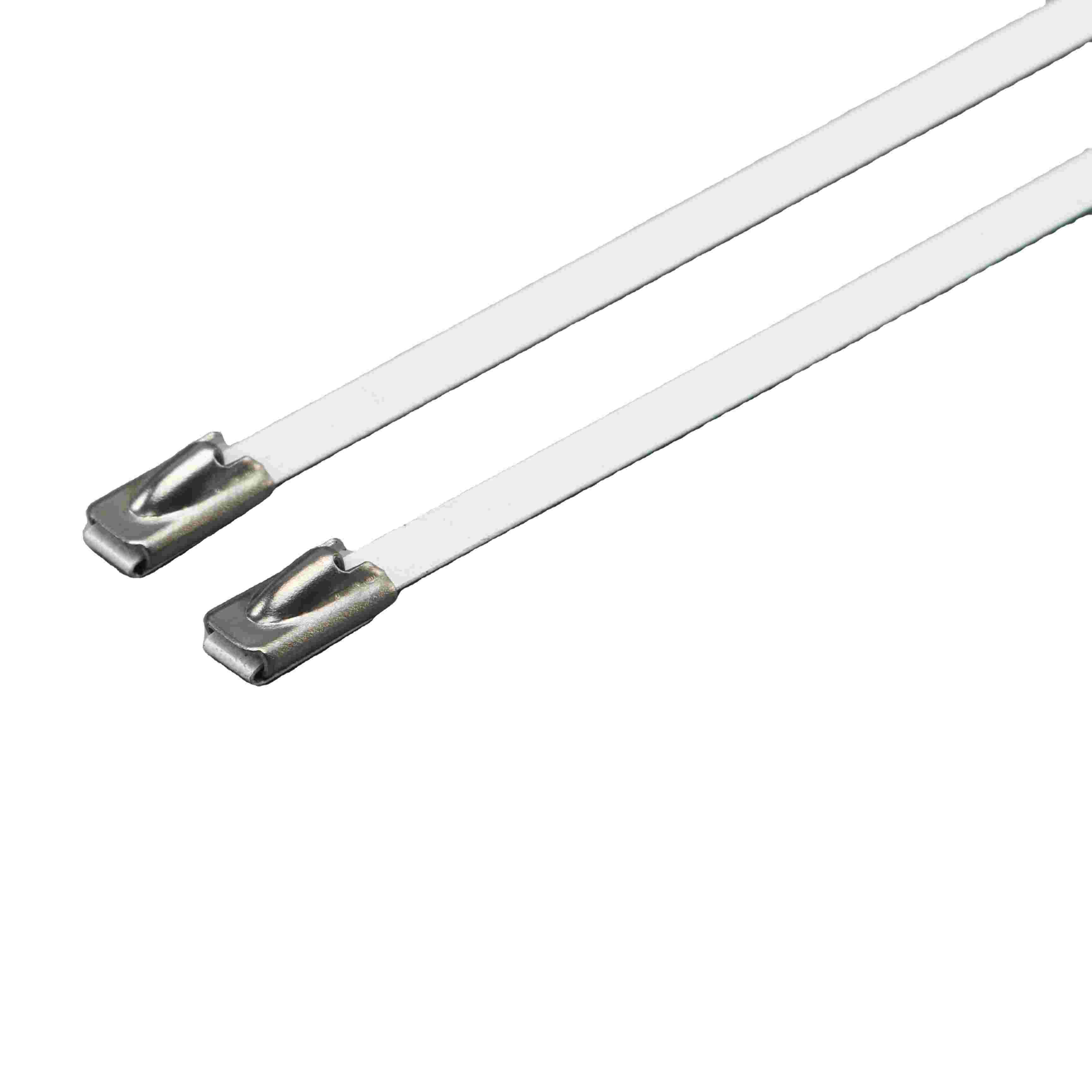 Stainless Steel Buckle Cable Ties - 2