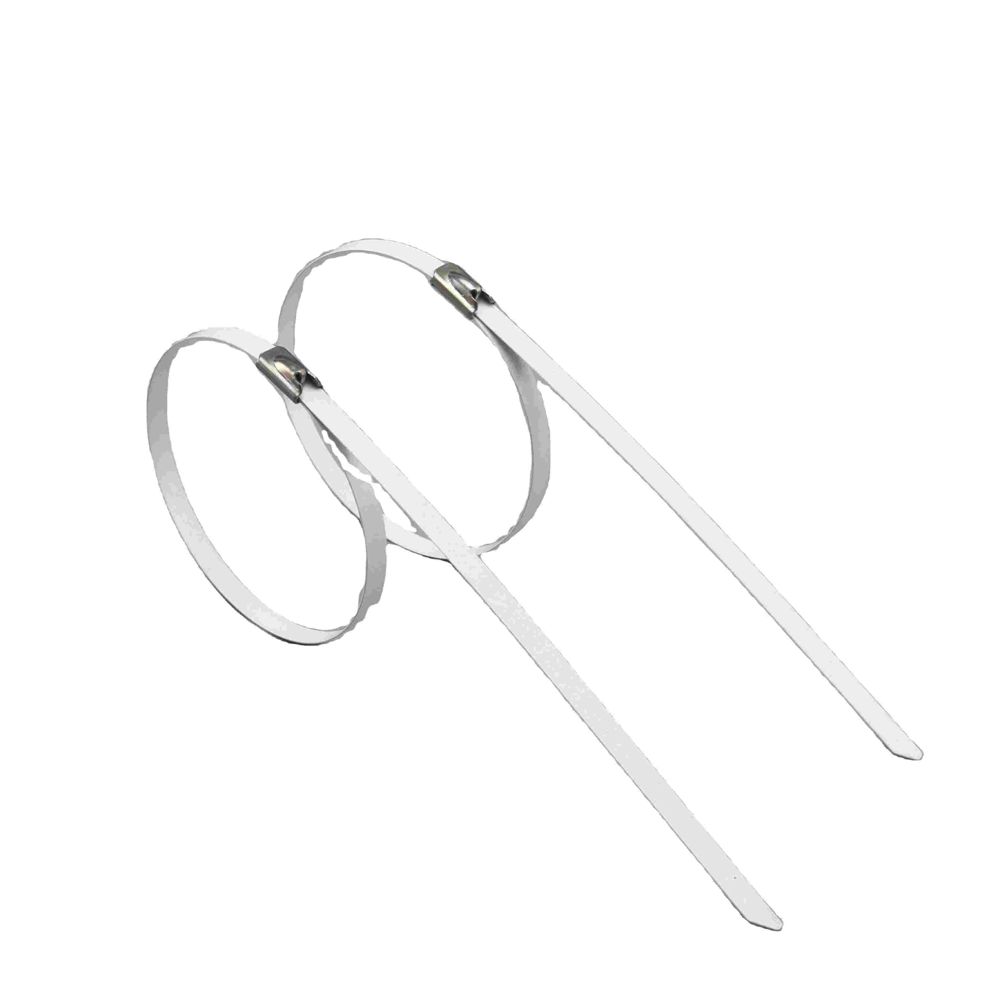Stainless Steel Buckle Cable Ties - 3 