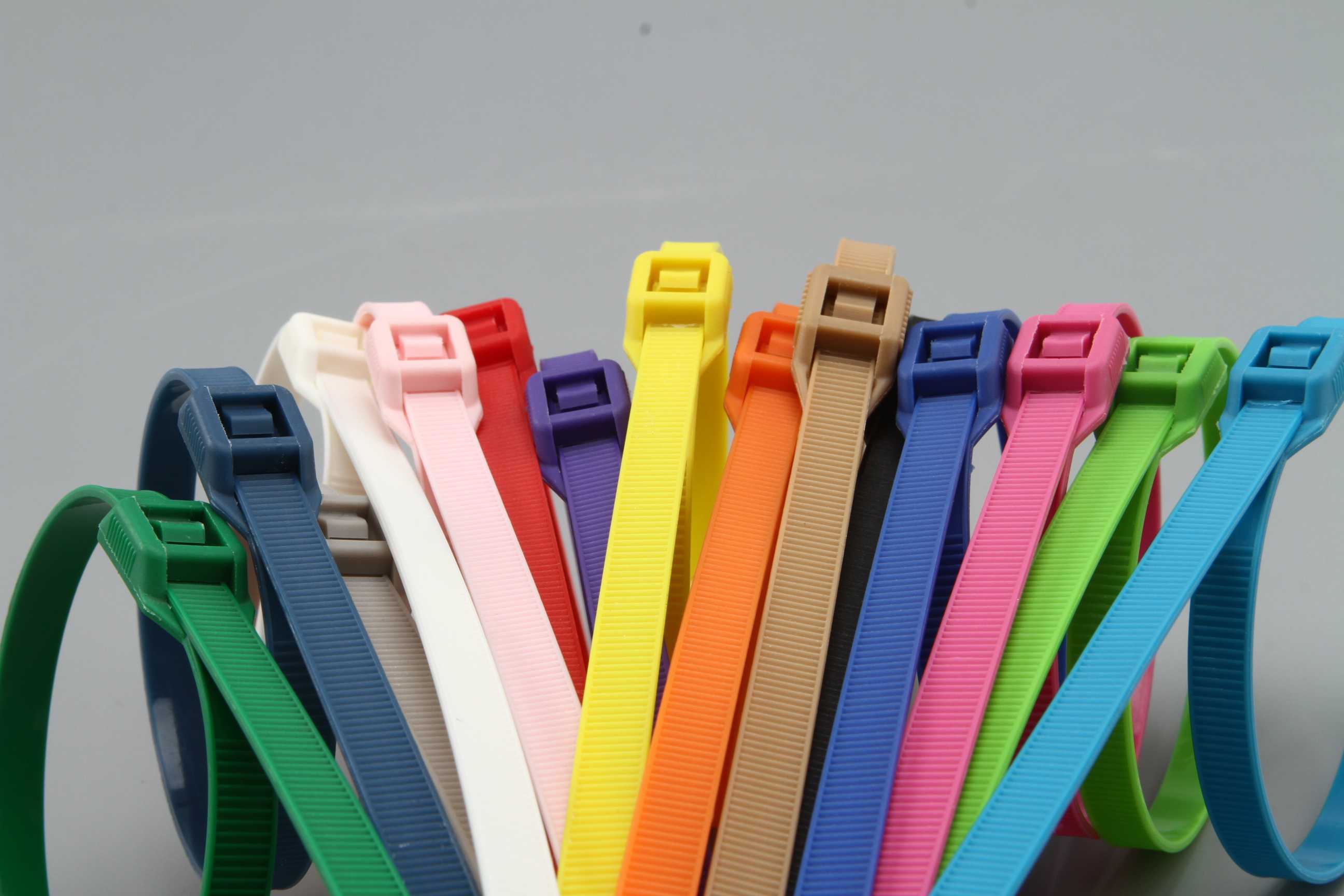 Anti disassembly (lead sealed) nylon cable tie