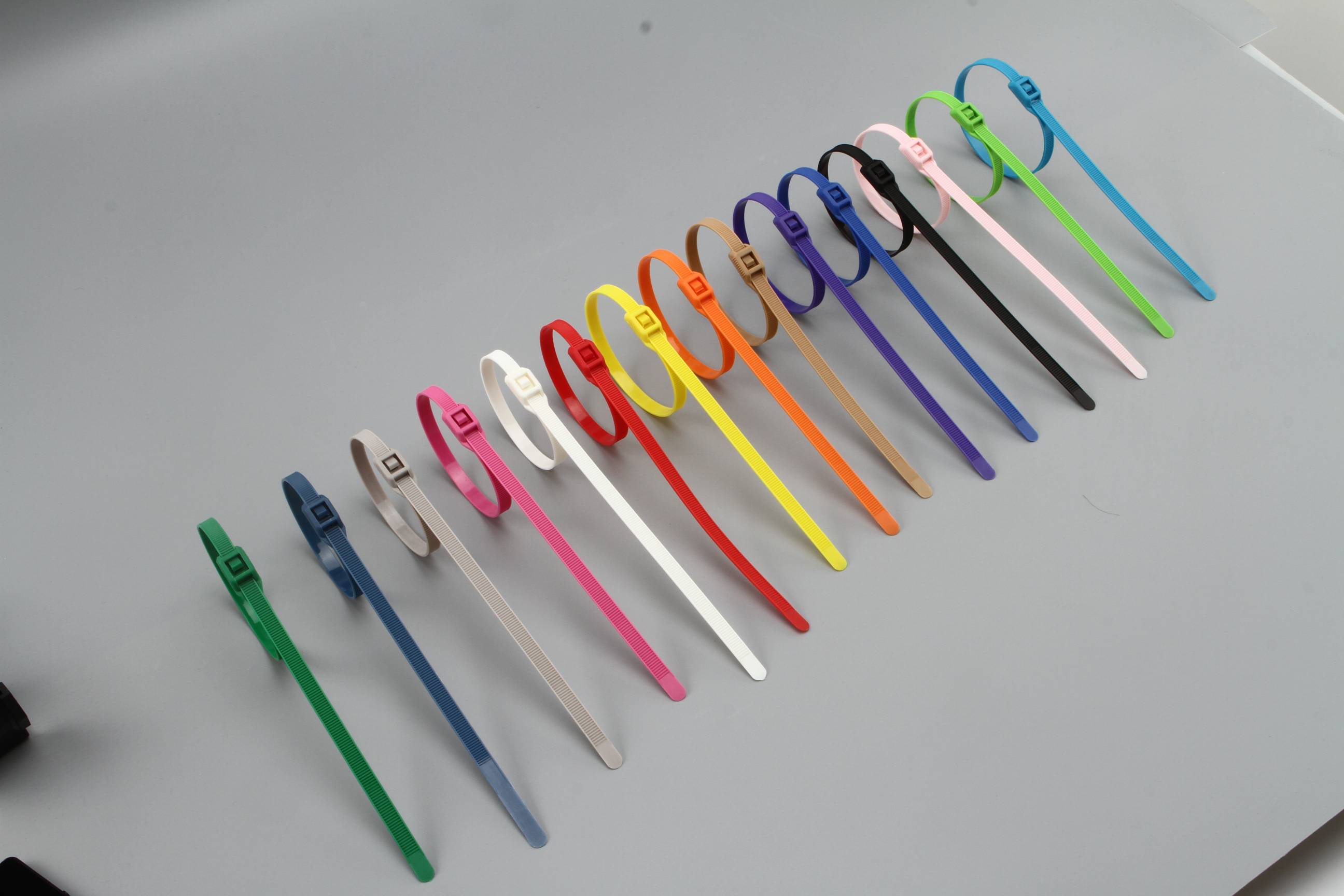 Fishbone cable ties - 2