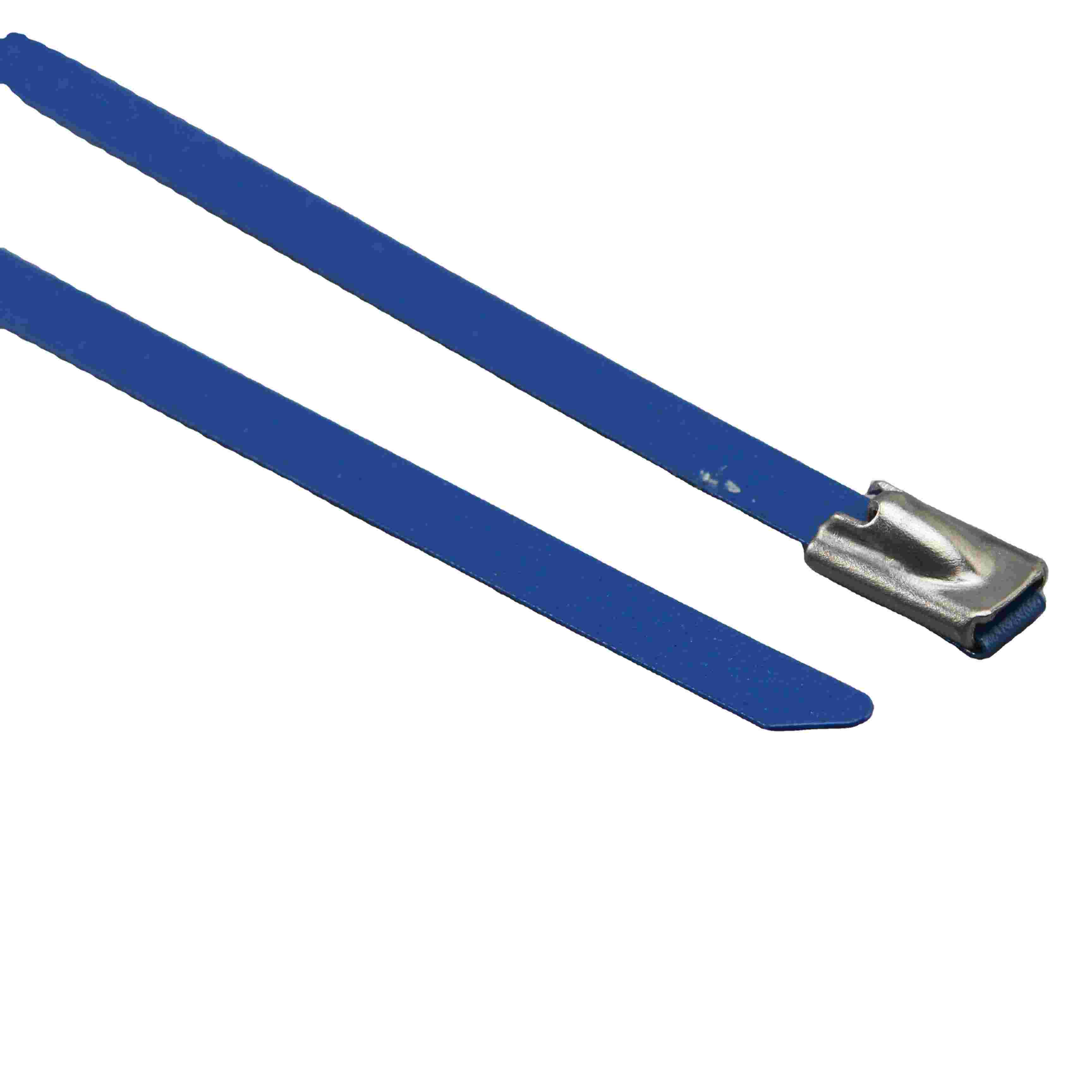 Stainless Steel Buckle Cable Ties