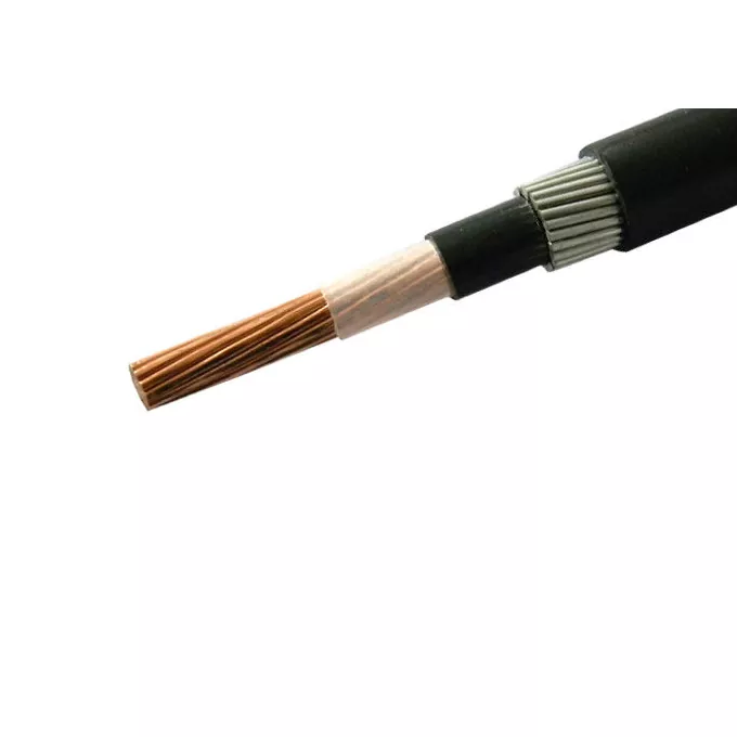 0.6/1 kV Single-core cables wire armoured with copper conductor - 2