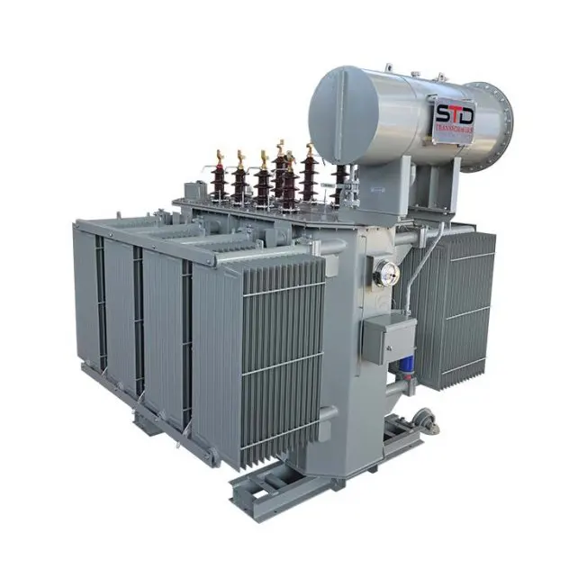 Power Variable Indoor Oil immersed Transformer