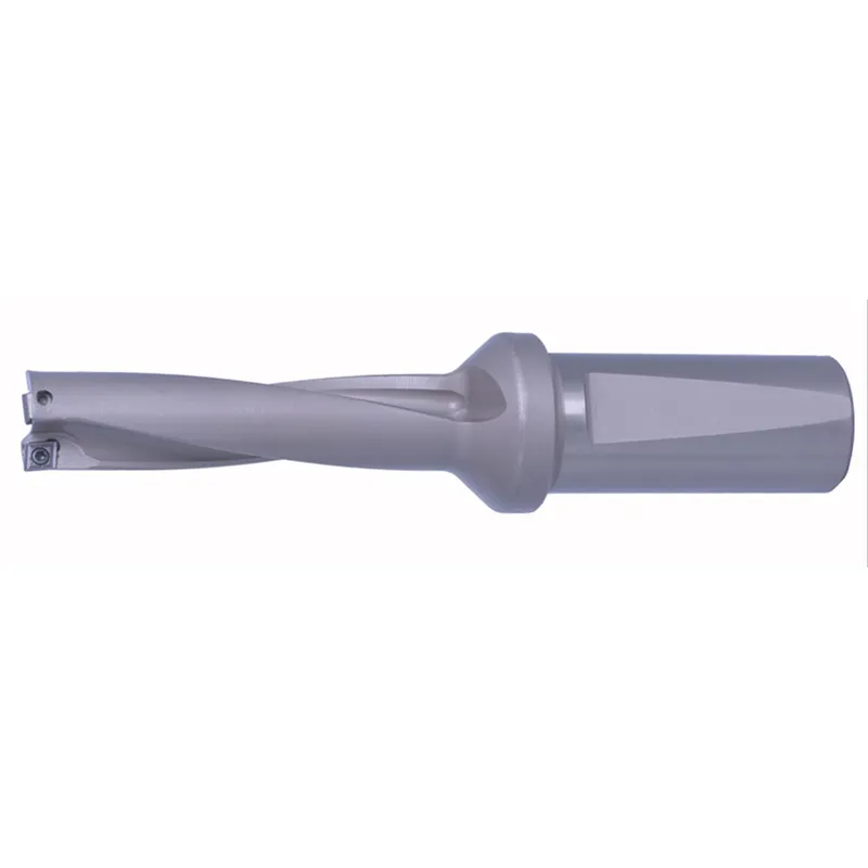 2D WD Drill Bits