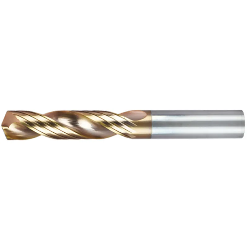 Dowel Drill Bit Total Length 100 mm