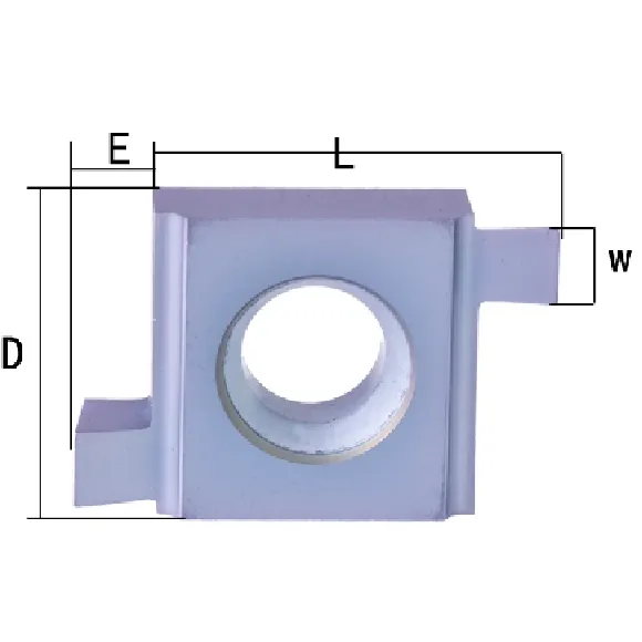 O-ring inzetstuk