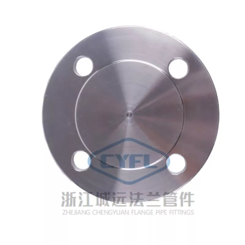 Flange cieche in acciaio duplex S31803