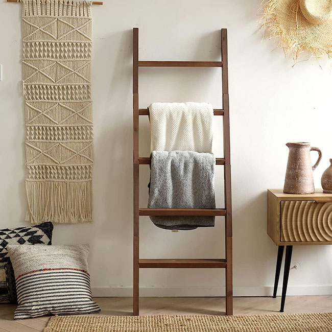 Introduction to Blanket Ladders