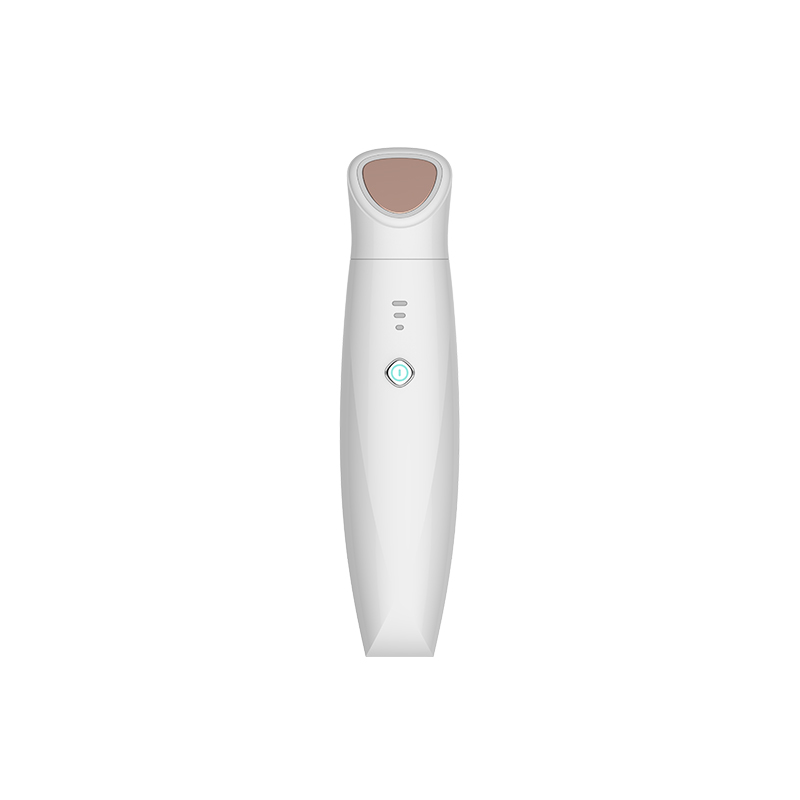 2023 New Ion Led Light Therapy Face beauty Device